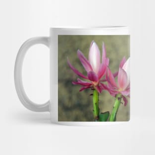 Cacti - Magpie Springs - Adelaide Hills Wine Region - Fleurieu Peninsula - South Australia Mug